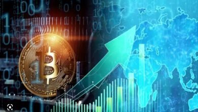 Crypto Market